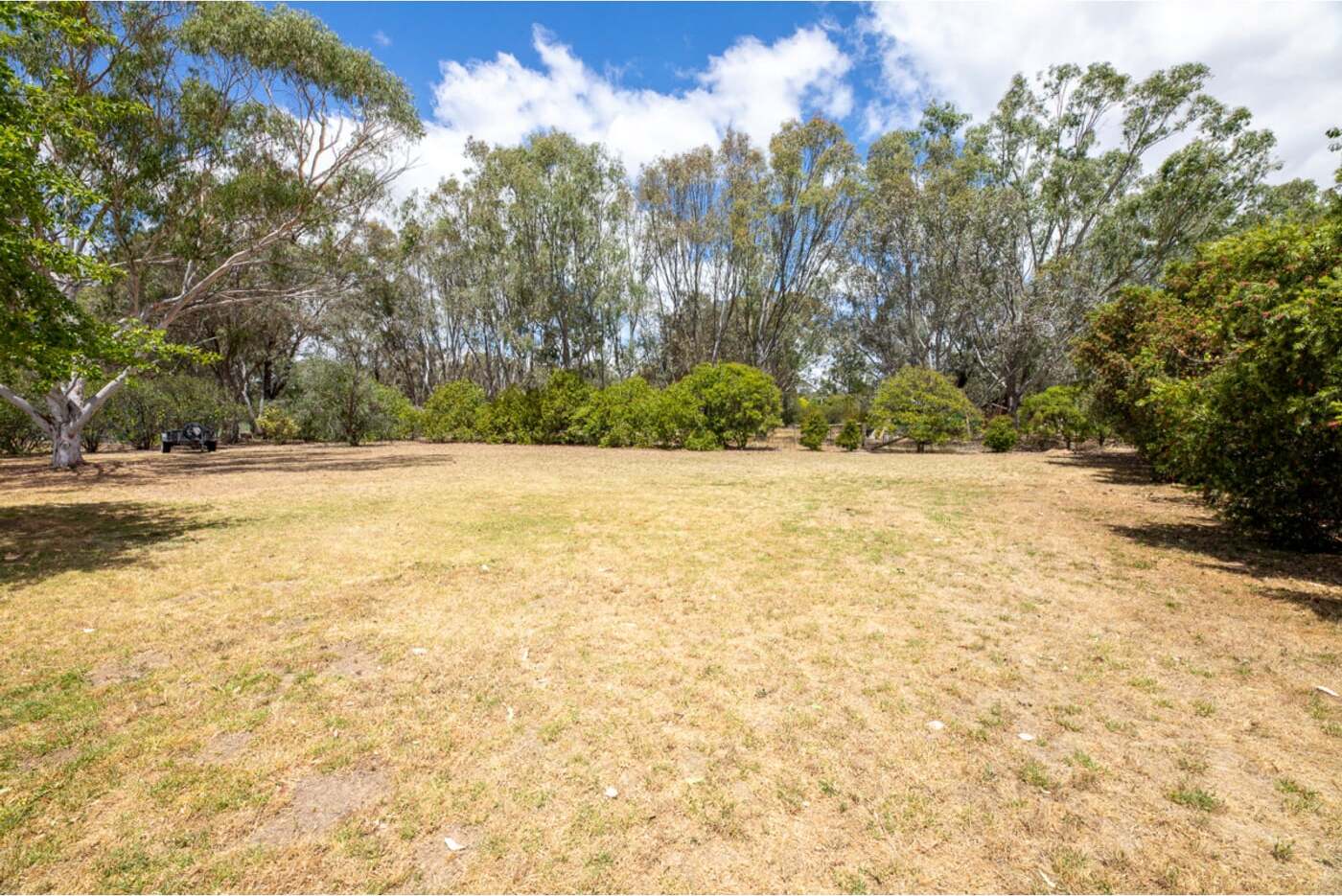 Expansive backyard and land